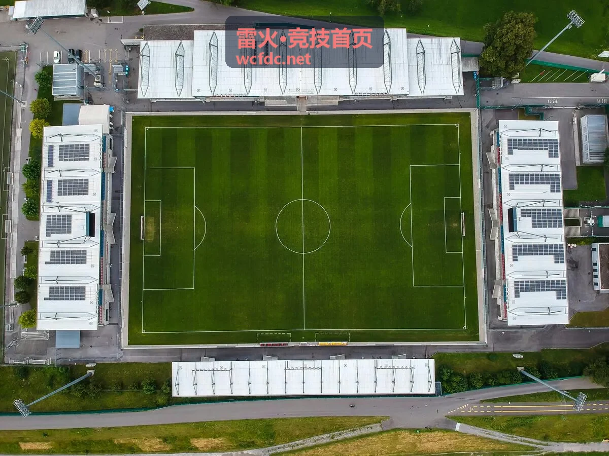 魅影舞姬·璃歌雷火竞技英雄攻略
