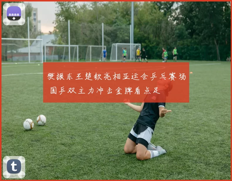 樊振东王楚钦亮相亚运会乒乓赛场 国乒双主力冲击金牌看点足