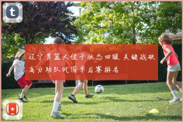 辽宁男篮大侄子状态回暖 关键战砍高分助队巩固季后赛排名