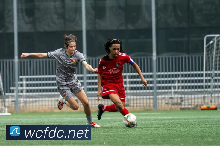 压球首页平台生态图